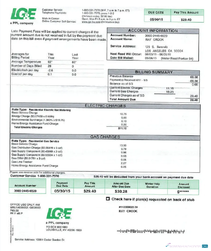 download download USA LG&E utility bill Word and PDF template PDF template PDF template